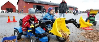 Bland piggar och kvigor på Landsbygdens dag