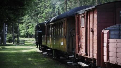 Ångtåg. Längst fram loket Dalhem. Vagnarna har alla åkt på de gotländska järnvägarna när de fortfarande var i drift.