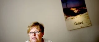 Ambassadörer till Almedalsveckan