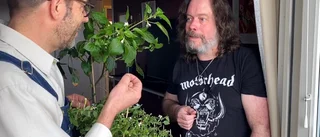 ”Den var det drag i!” • Chili-Lasse gästar Trädgårdsfix med Henrik Radhe och lär oss odla hett