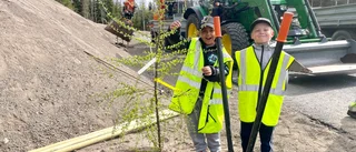 Barnen fick plantera träd vid sin nya skola på Norr: "En fantastisk möjlighet för eleverna"