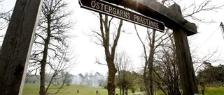 Ängen – de gröna kyrkorna