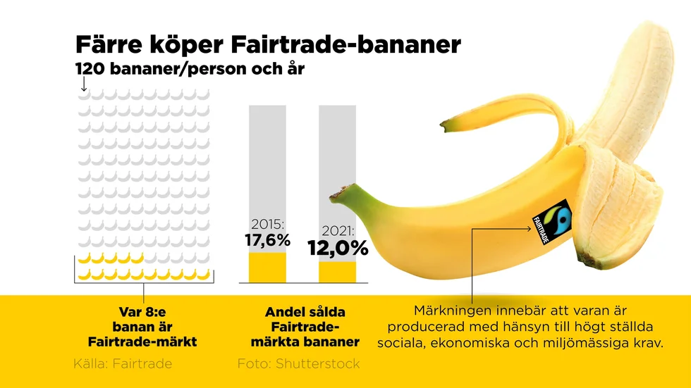 Försäljningen av Fairtrade-märkta bananer ökar globalt sett, men i Sverige minskar den.