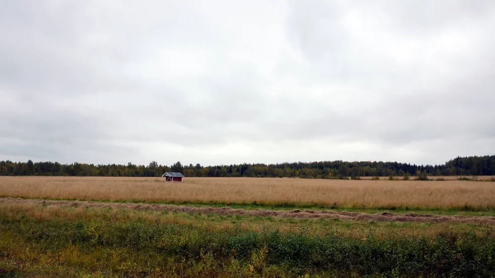 Åkermark. Den här marken  som fått nyttjas av Bodens Modellflygklubb har redan lösts in av Bodens kommun.