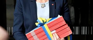 Tydliga skillnader mellan partierna