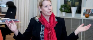 Sänkt pris nästa år?