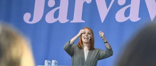 Förortens Almedalen