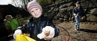 Skolorna på Gotland kan bidra till hållbar utveckling