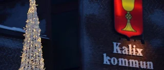De vill bli näringslivschef vid Kalix kommun