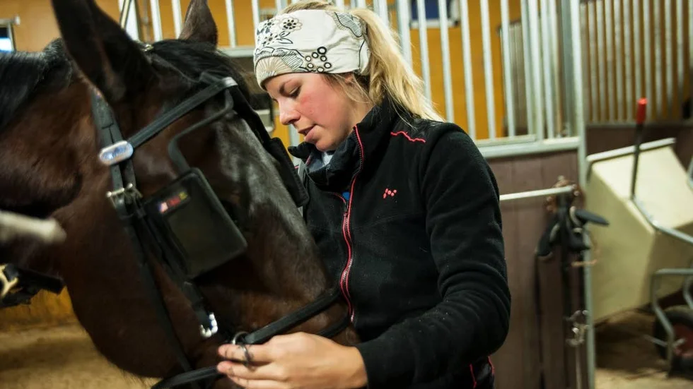 Peppad. Sandra Eriksson ser fram emot V 75 på Bodentravet. "Det är världsartister både bland hästar och  människor som kommer".