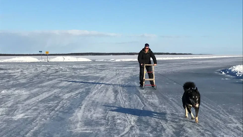 Lämpligt fordon. Isvägarna utanför Hindersöstallarna är stängda men sparken funkar fint över påsk i alla fall. Det här ekipaget består av Anna Hansson och östsibiriska laikan Kalinka.