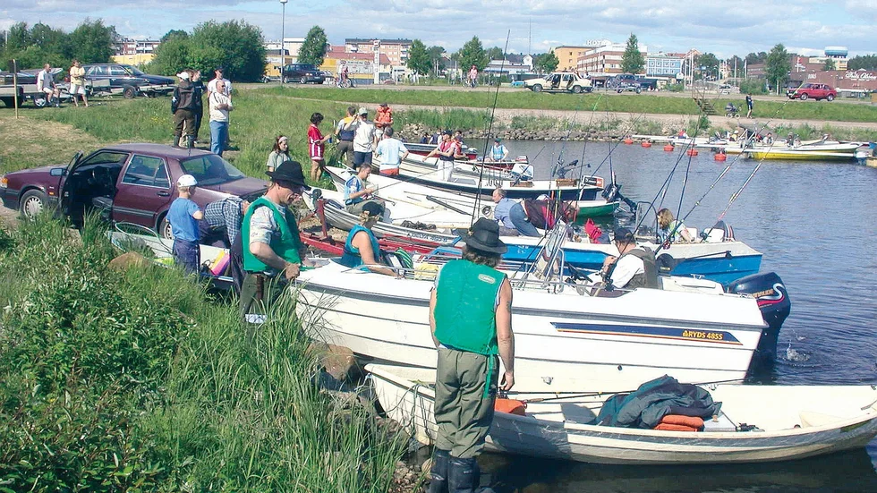 Över 80 deltagare från Kalix, Älvsbyn och Piteå deltog i årets upplaga av Gäddfiskefestivalen som gick av stapeln på lördagen vid campingen. 