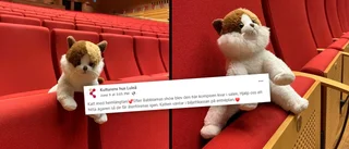Katt-a-strof på Kulturens hus – bortsprungen katt söker ägare efter barnshow