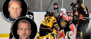 Så hamnade nye tränaren i Skellefteå AIK: ”Ett stort äventyr” • Lindholm om att fortsätta