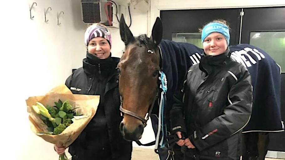 Skellefteåtravets Selmer I.H startar i V75 på Umåker på lördag.