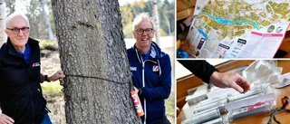 Succén är tillbaka – Snart kan Skellefteå Hittaut igen: ”Får vi samma gensvar får man vara nöjd”