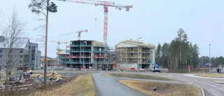 Visa handlingskraft, bostadsministern!