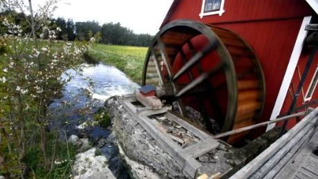 FULL RULLE. Vattenhjulet snurrade och drev kvarnen vid Norrbys museigård i Väte i går. Totalt maldes 100 kilo vete som sedan såldes i påsar.