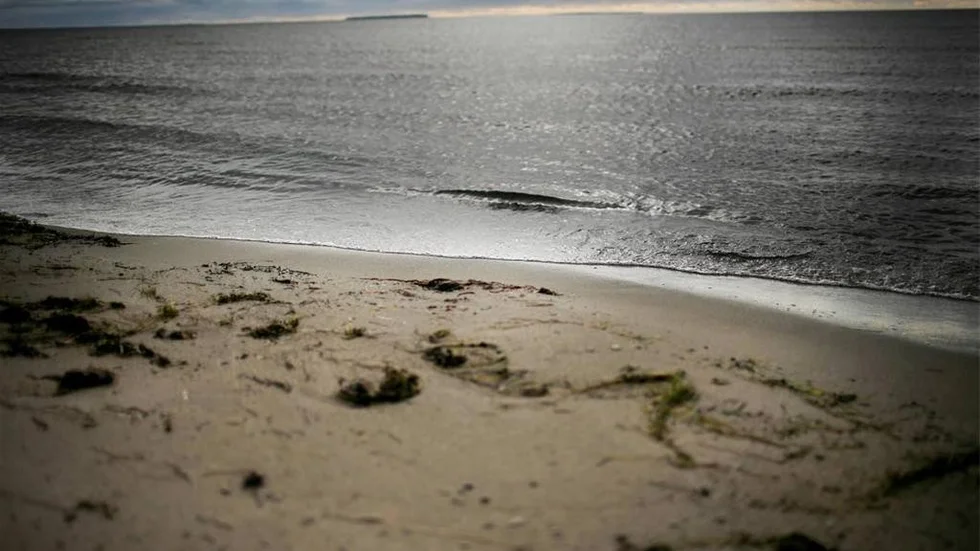 Västergarns strand har städats regelbundet.