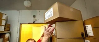 Kycklingstopp på Säveskolan