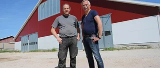 Grisigt jobb försvinner med svinbra städrobot