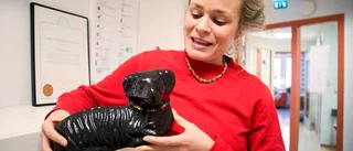 De arbetar för inkludering och ökad kunskap
