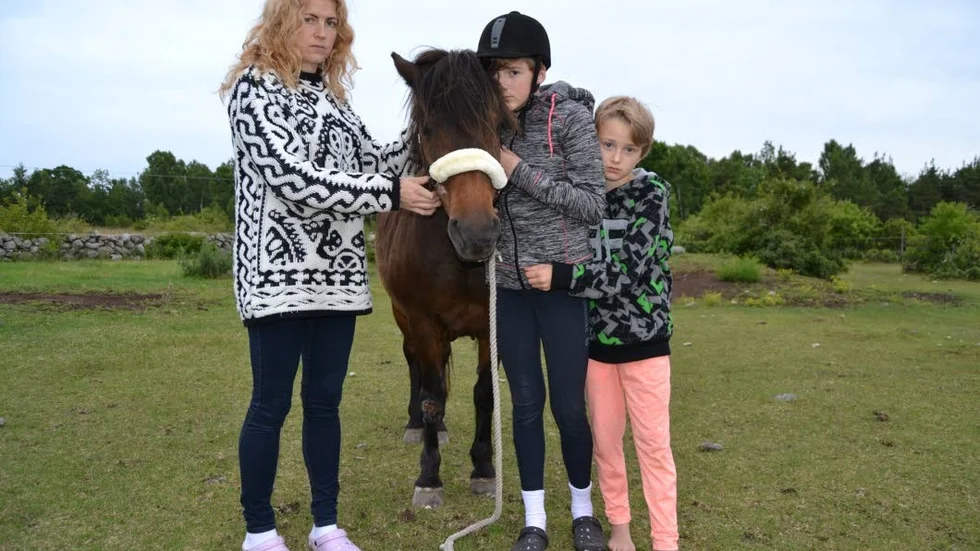 Familjen Stål tycker att bilister bör ta mer hänsyn till ryttare i trafiken.