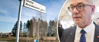BESLUT: Då blir tomterna till salu – igen