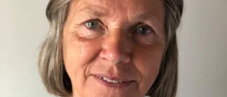Ny forskning om Gotlands forna tingsplatser