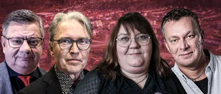 Politikernas massiva kritik efter granskningen: "Oprofessionellt"