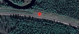 Varnar för renar på vägen på väg 857