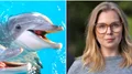 Delfin dog plötsligt på Kolmården – ställer in shower