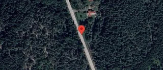 Problem i trafiken efter nedfallna träd på väg 1149