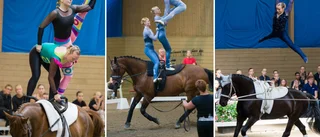 Medaljregn för Uppsala på hemmaplan: "Fantastiskt kul"