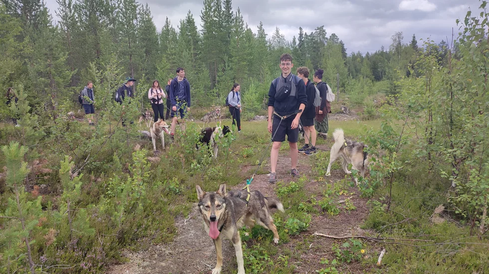 De franska ungdomarna på utflykt med Flarken Adventures hundar.