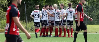 Seriesegrartecken i Södertälje