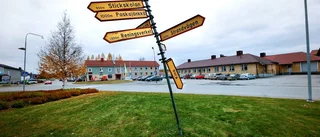 Pajalas trestegsmetod