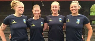 Succéspelarna är tillbaka igen