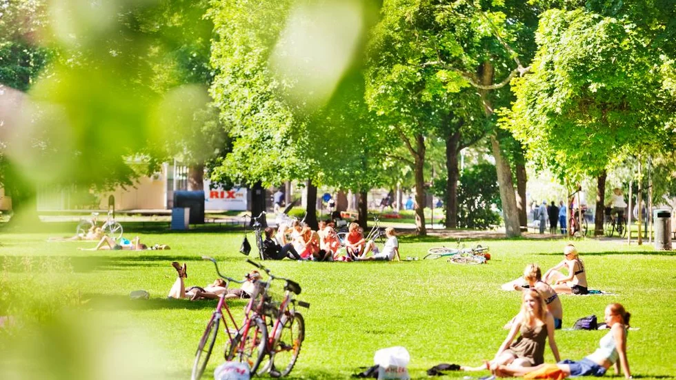 Stadsträdgården/arkivbild