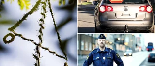 Polisen inför midsommar: "Ha is i magen" 