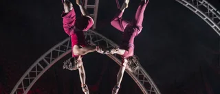 Cirkus Cirkör drivs av kvinnokraft