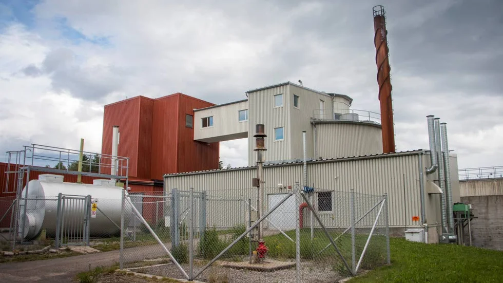 I skogen invid reningsverket på Sandholmen hänger det flådda djuret som tros vara en hund.