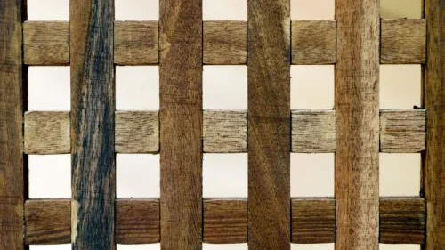Hardwood kan vara vad som helst och är ett sätt för tillverkarna att slippa ange vad det är för träslag. Hardwood kommer oftast från naturskog och är sällan odlad.Bild: JESSICA GOW/PRESSENS BILD