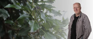 “Blåelden, skamligt nog, inte är Gotlands landskapsblomma”