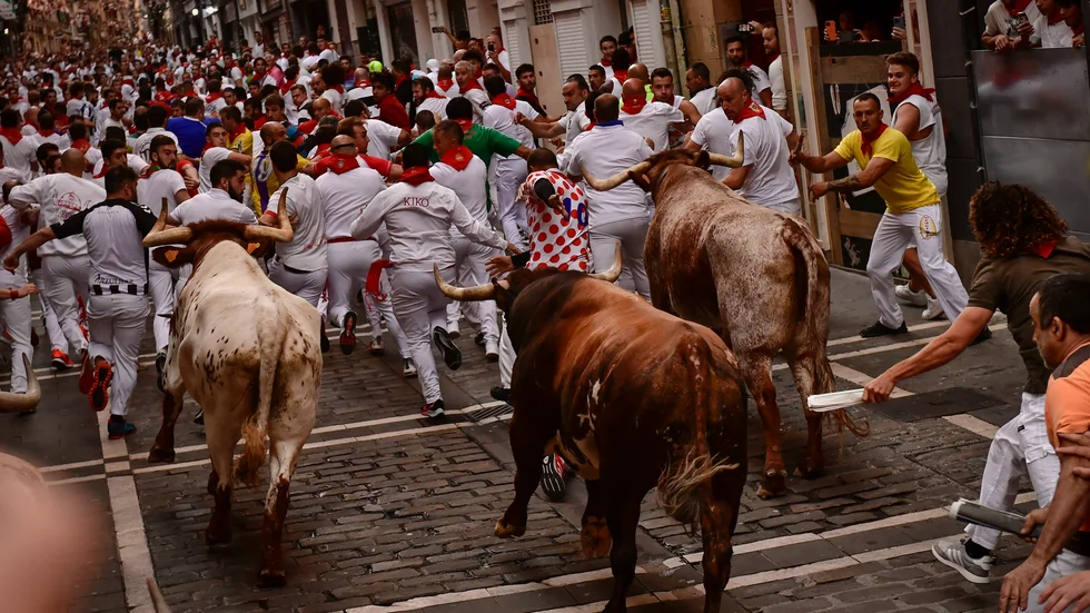 Deltagare i San Fermin-festivalens tjurrusning försöker undvika att bli stångade av tjurarna. Arkivbild.