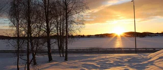 Promenad i vintersolen
