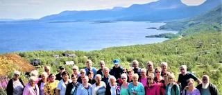 Vackra vyer på väg till Lofoten