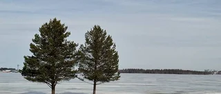 Naturskönt vid Lulviken