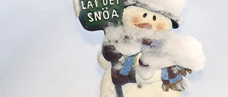 Läsarbild: Låt det snöa!