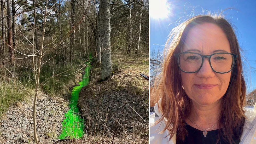 Elin Tapper var en av många som förvånades över bäckens annorlunda färg.